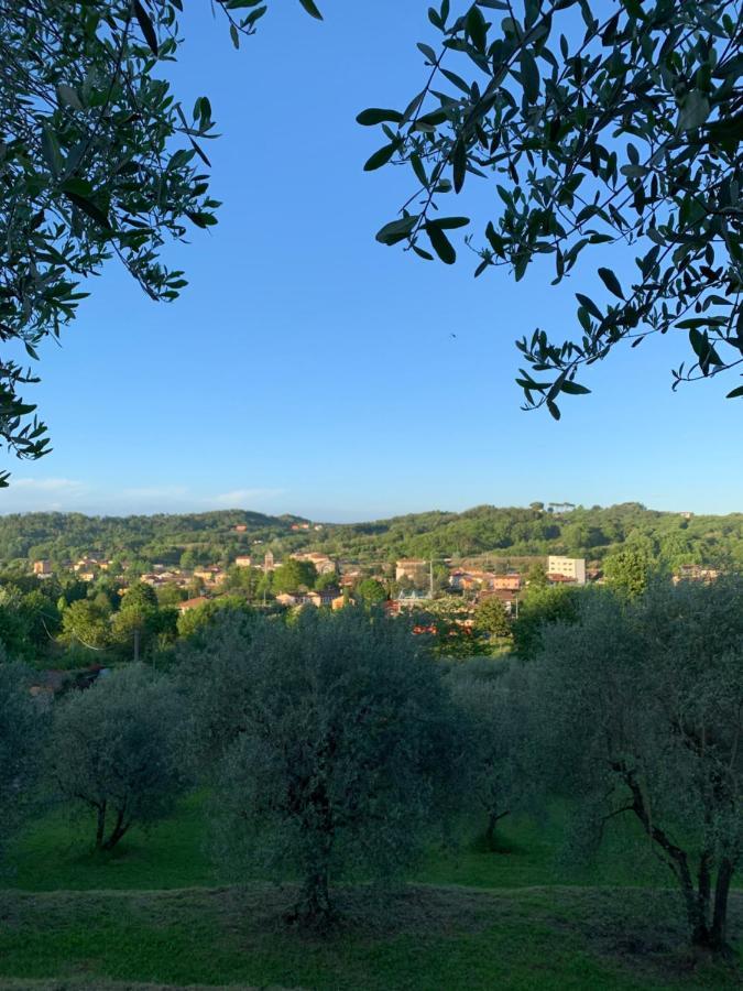 Marziani Rustic Tuscan House كابانّوري المظهر الخارجي الصورة
